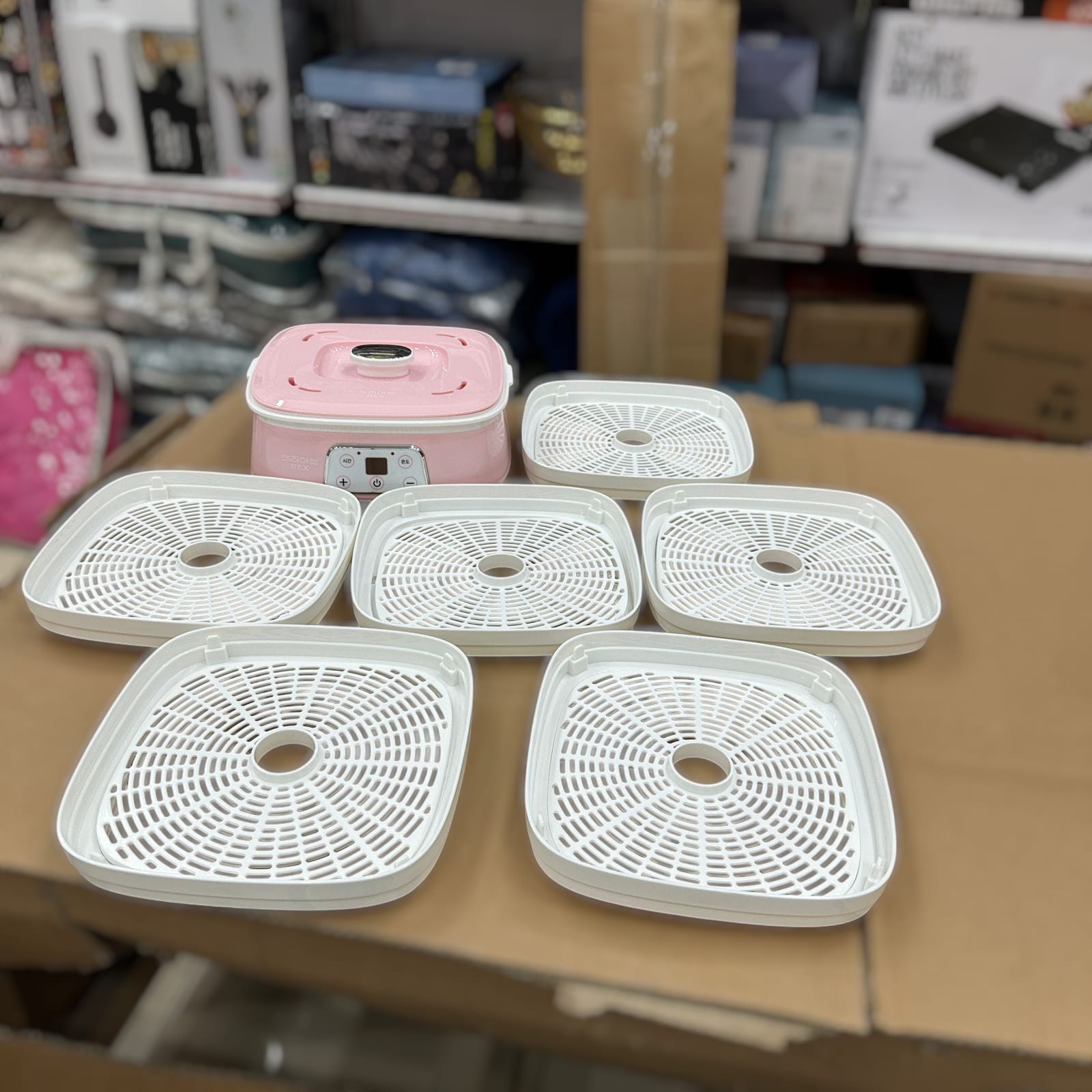 Nature 6 Trays Food Dehydrator RXFD-230
