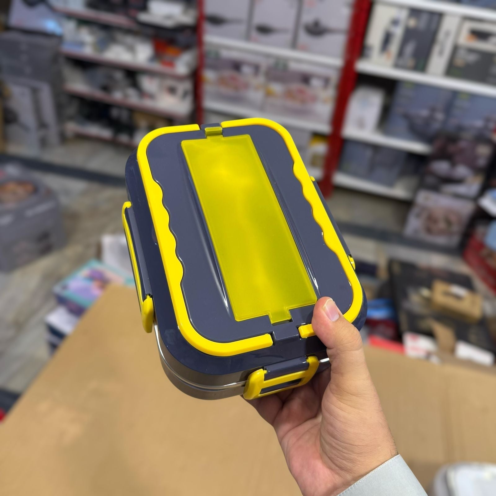 2 in 1 Electric Lunch Box DFH-C21