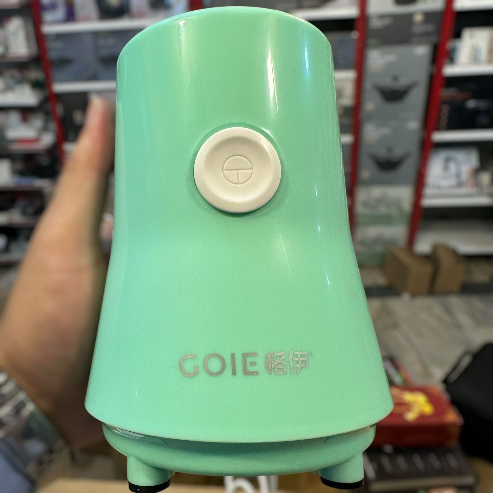 GOIE Mini Blender 250W