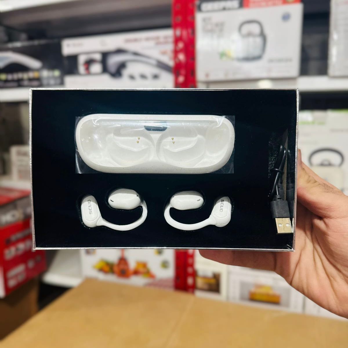 Hoshigami Plan EarPods