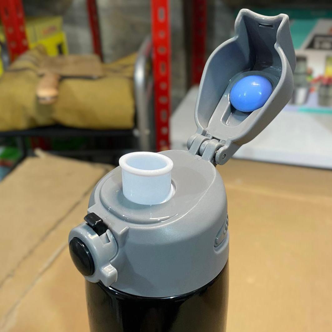 Discover Stainless Steel Water Bottle